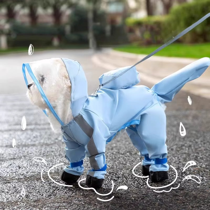 Clothing Shoes & Seasonal Wear